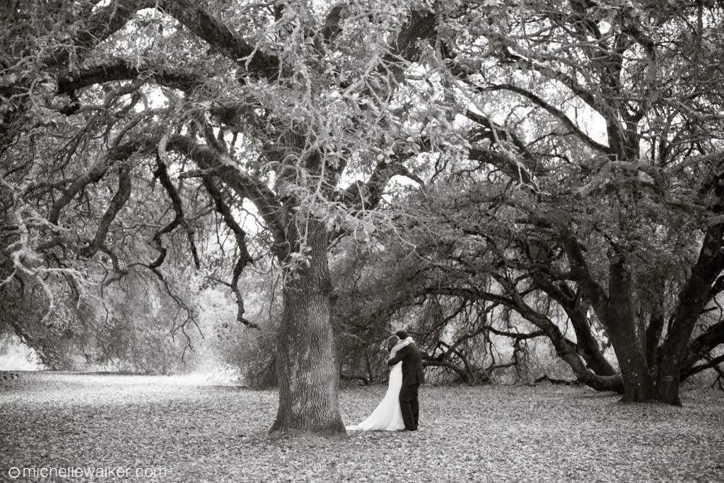 wedding-photography-anderson-ranch-sonoma-02