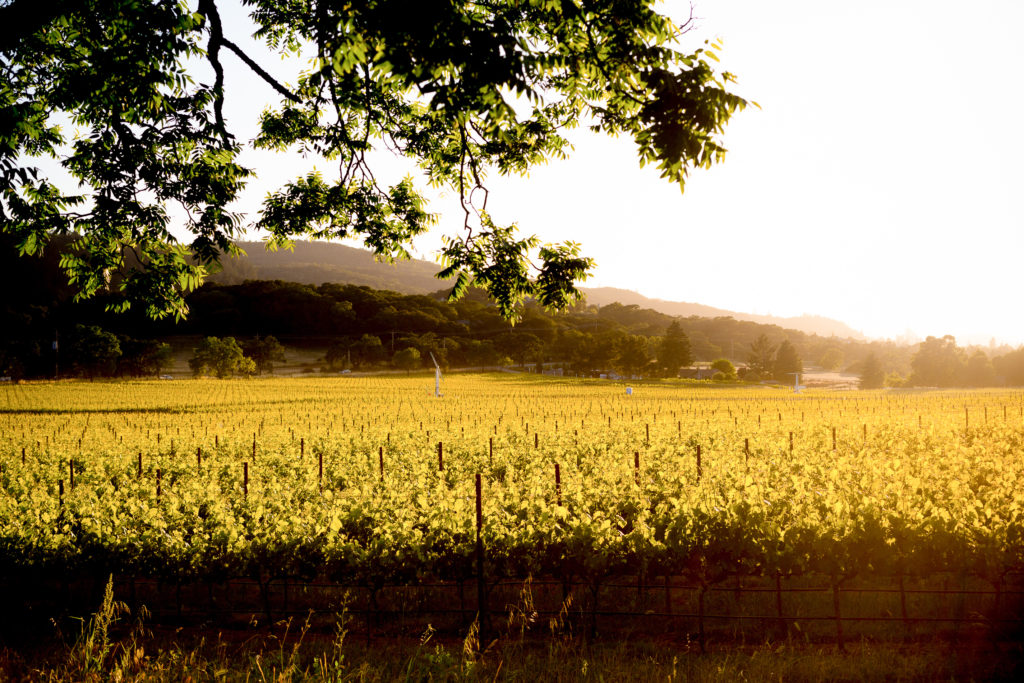 010 annadel-winery-kvenue-santa-rosa-california