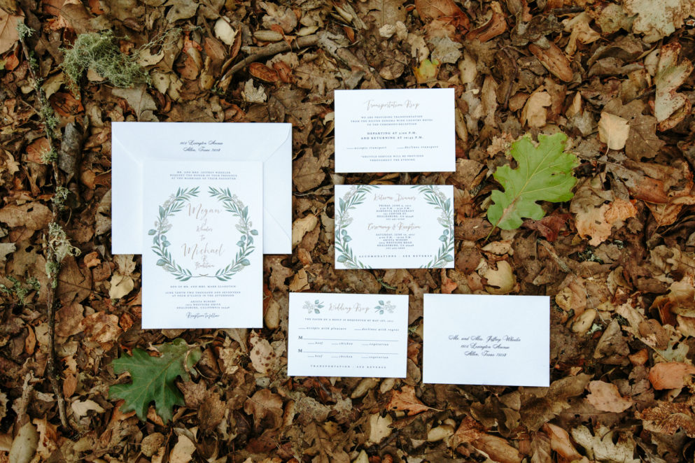 The wedding invitation and other collateral.