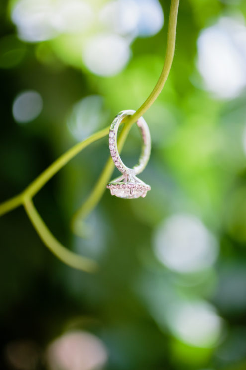 Wedding ring hanging from a grape vine.