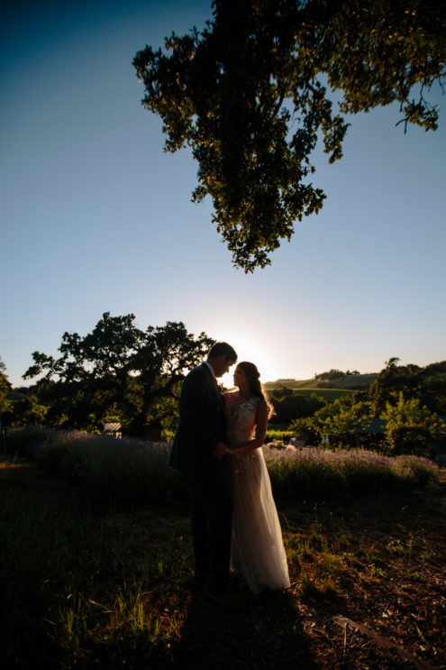 wedding-arista-winery-healdsburg-california-27