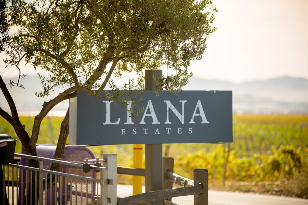 commercial-winery-photos-liana-estate-carneros-california-00