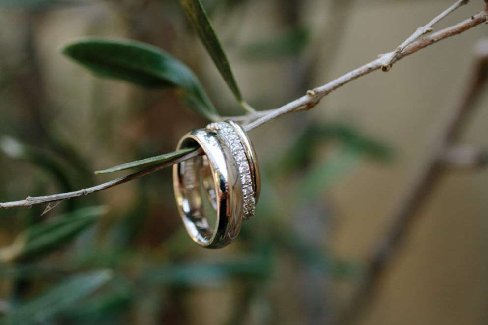 Wedding rings hanging on an olive branch.