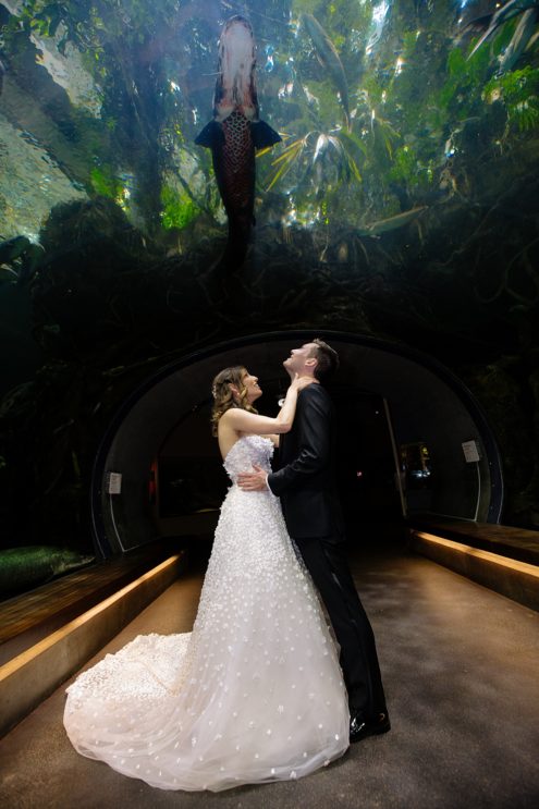 bride and groom in aquarium at California Academy of Sciences Wedding