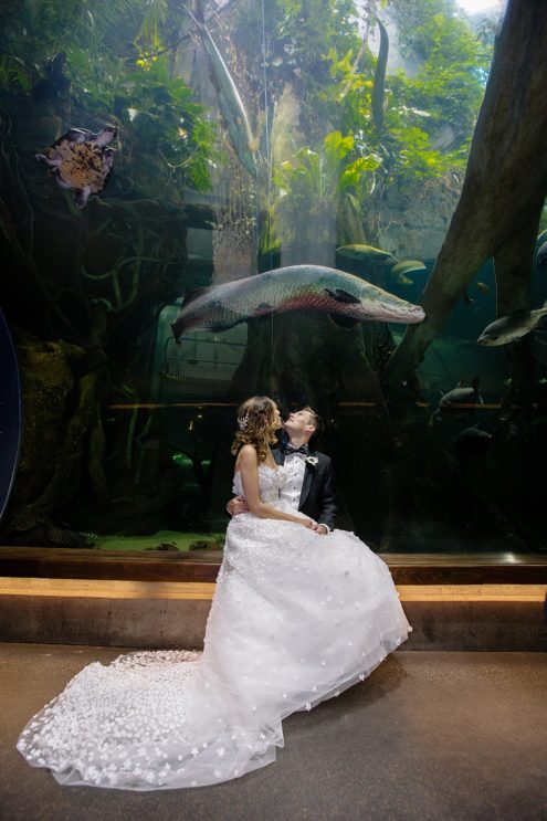 big fish over California Academy of Sciences Wedding bride and groom by michelle walker photography