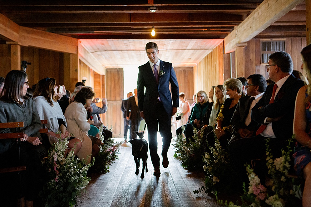 Groom walking down aisle at Campovida winery wedding by michelle walker photography