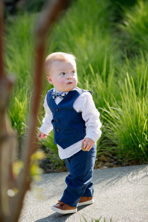 Ringbearer at an intimate wedding in Napa.