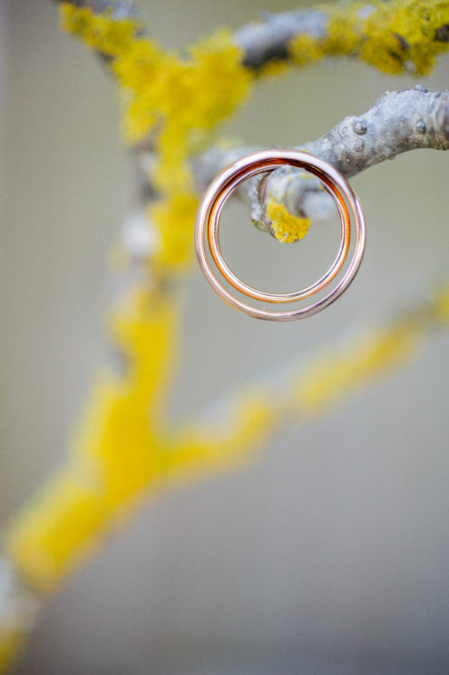 wedding rings hanging from a rustic branch